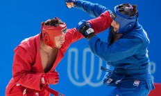 开云体育-关于桑德兰客场告捷，绝杀对手夺取胜利的信息