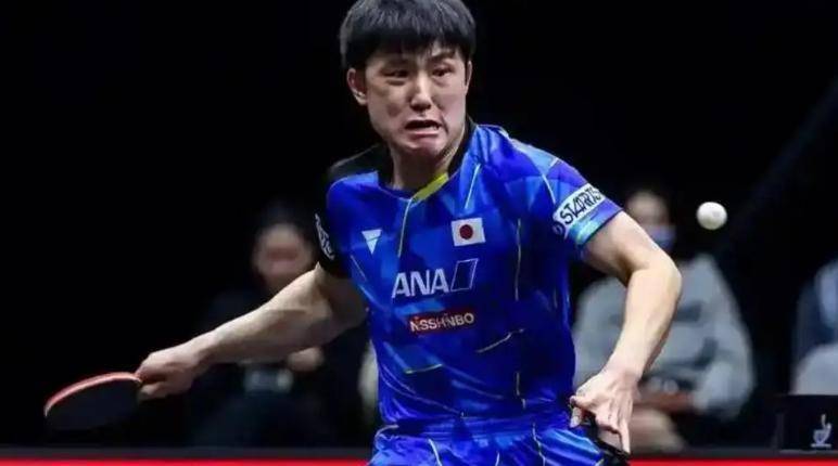 关于瑞典队鏖战日本队，张本智和扛起全队的信息