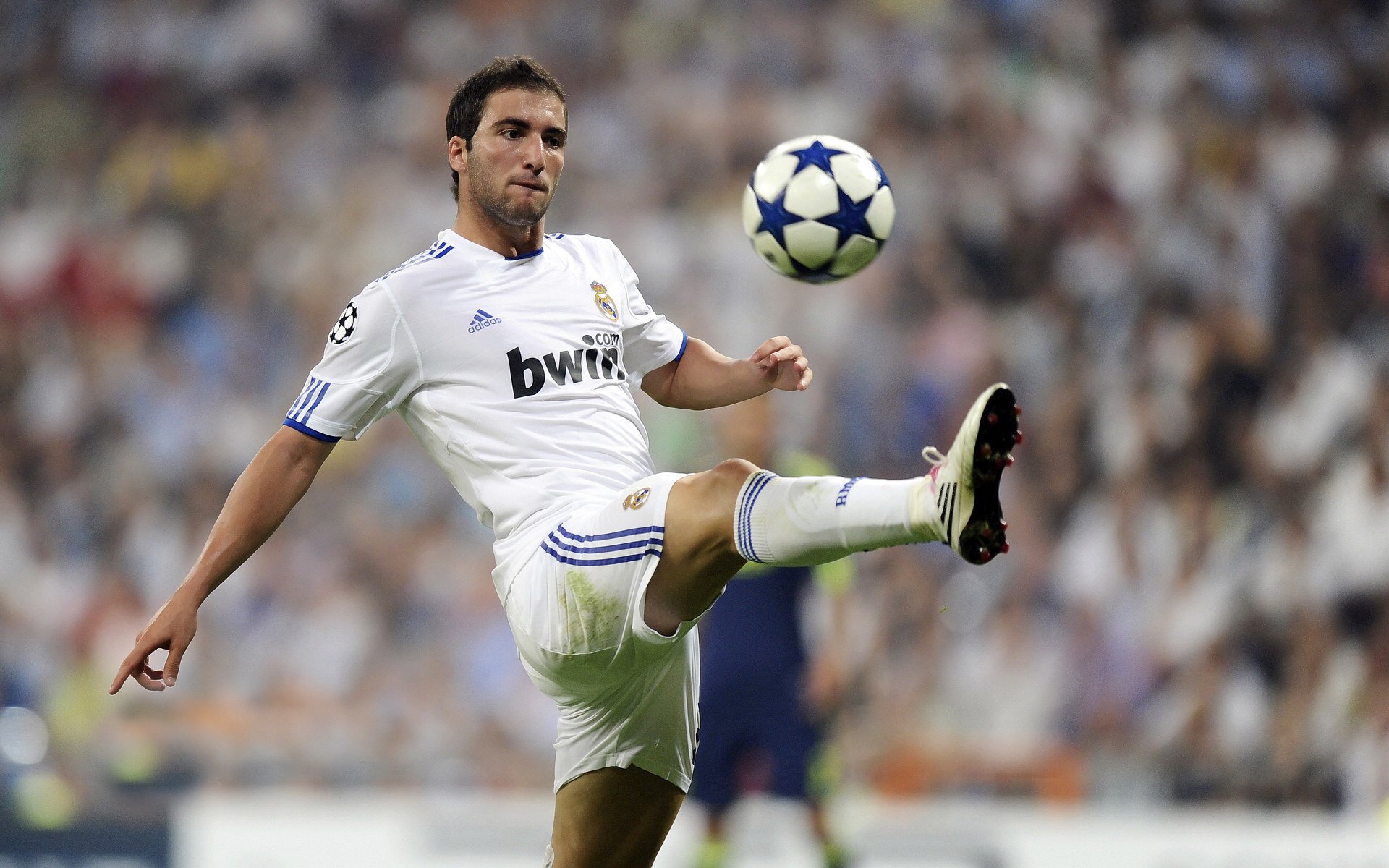 攻防一体！京多安统治全场，安哥拉铁蹄踏平苏格兰